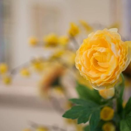 Top-Rated 1-Bedroom Apartment In The Heart Of Athen Eksteriør bilde