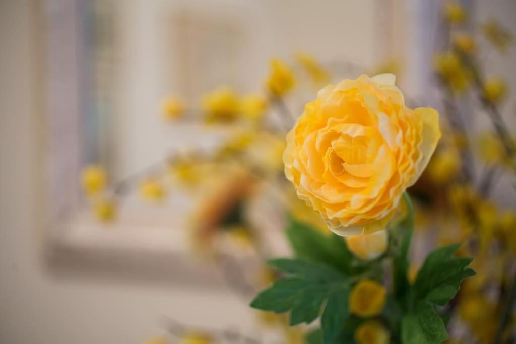 Top-Rated 1-Bedroom Apartment In The Heart Of Athen Eksteriør bilde